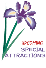 Special Attractions