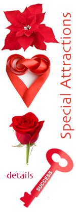 Special Attractions